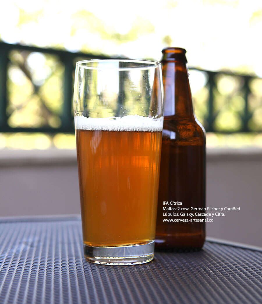 Arriba 44+ imagen red ipa receta