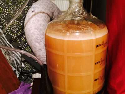 Cómo preparar tu primera cerveza ácida