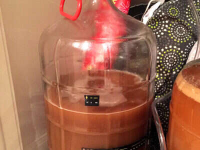 Cerveza Sour #2 (Fanny), con brettanomyces