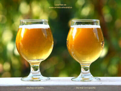 Loral Pale Ale, con lúpulos Cryo-Hops (LupuLN2)