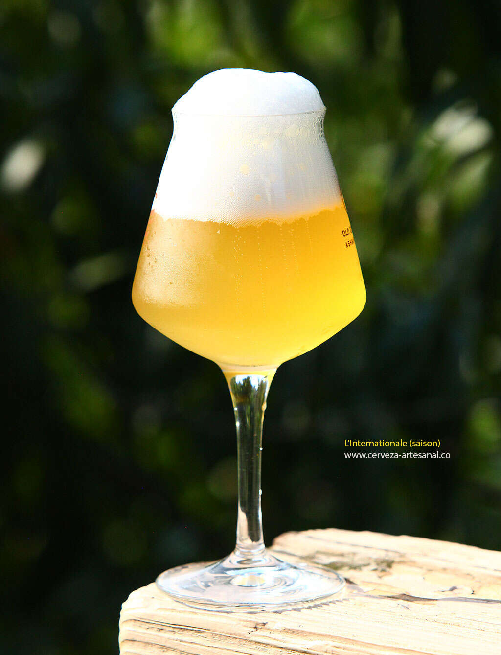 Arriba 90+ imagen receta saison ipa