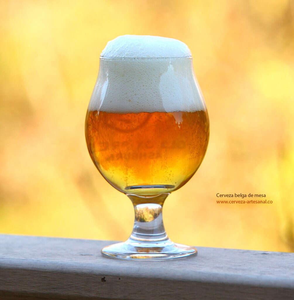 Copa de cerveza tipo tulipán para belgian ales, dubbels, tripels, IPAs, y sours